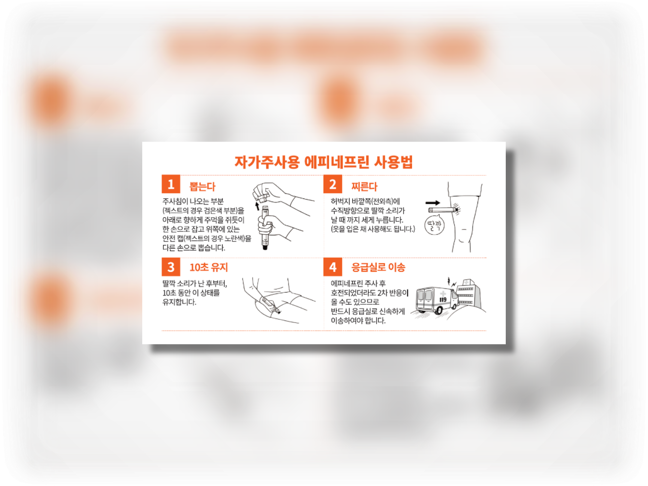 갤러리